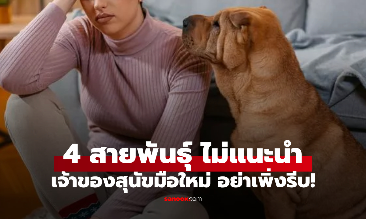 พยาบาลสัตว์เตือน เลี้ยงสุนัขครั้งแรก \