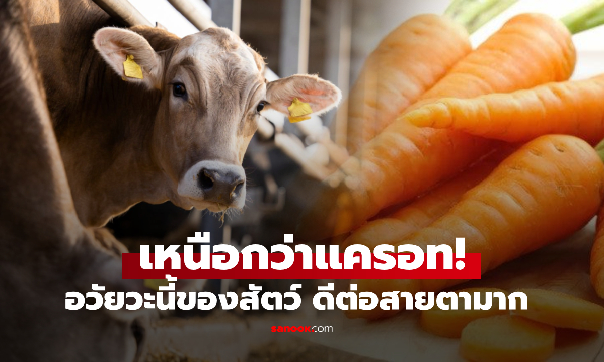 “กินดี” อวัยวะ 1 อย่างของสัตว์ ที่ไม่ใช่สีส้ม แต่วิตามินเอสูงกว่าแครอท 1.5 เท่า คนไม่คอยรู้!