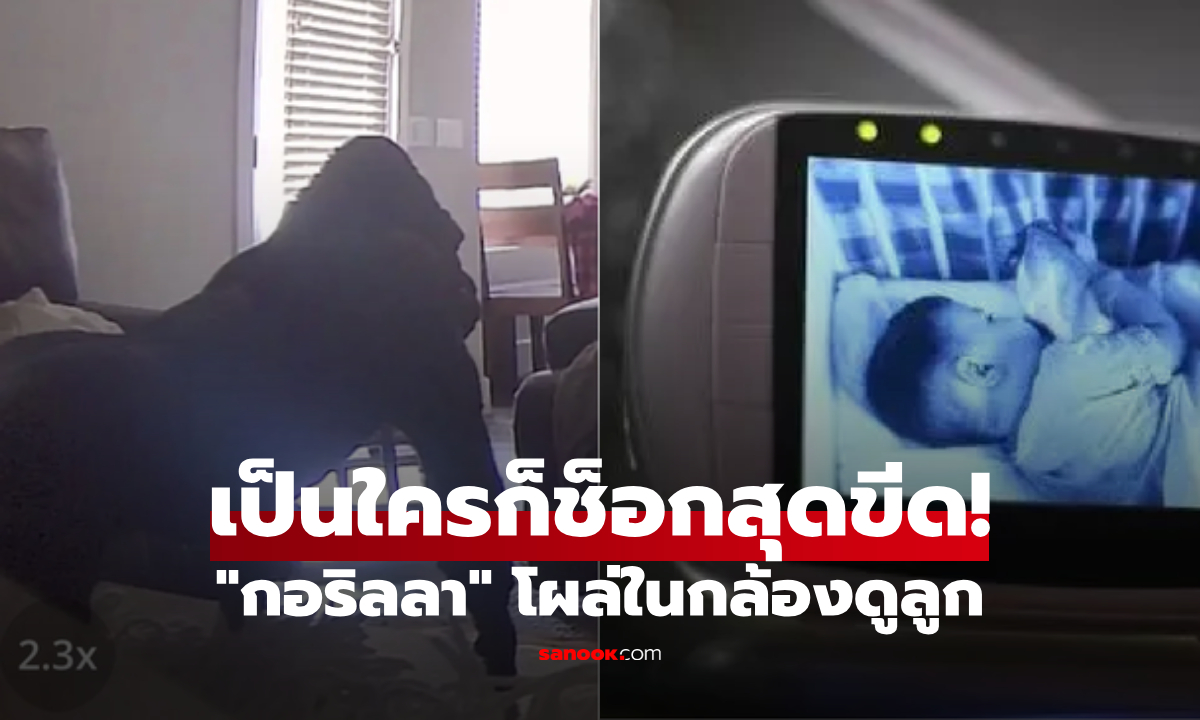 แม่ช็อกสุดขีด! เปิดกล้องลูกเห็น \