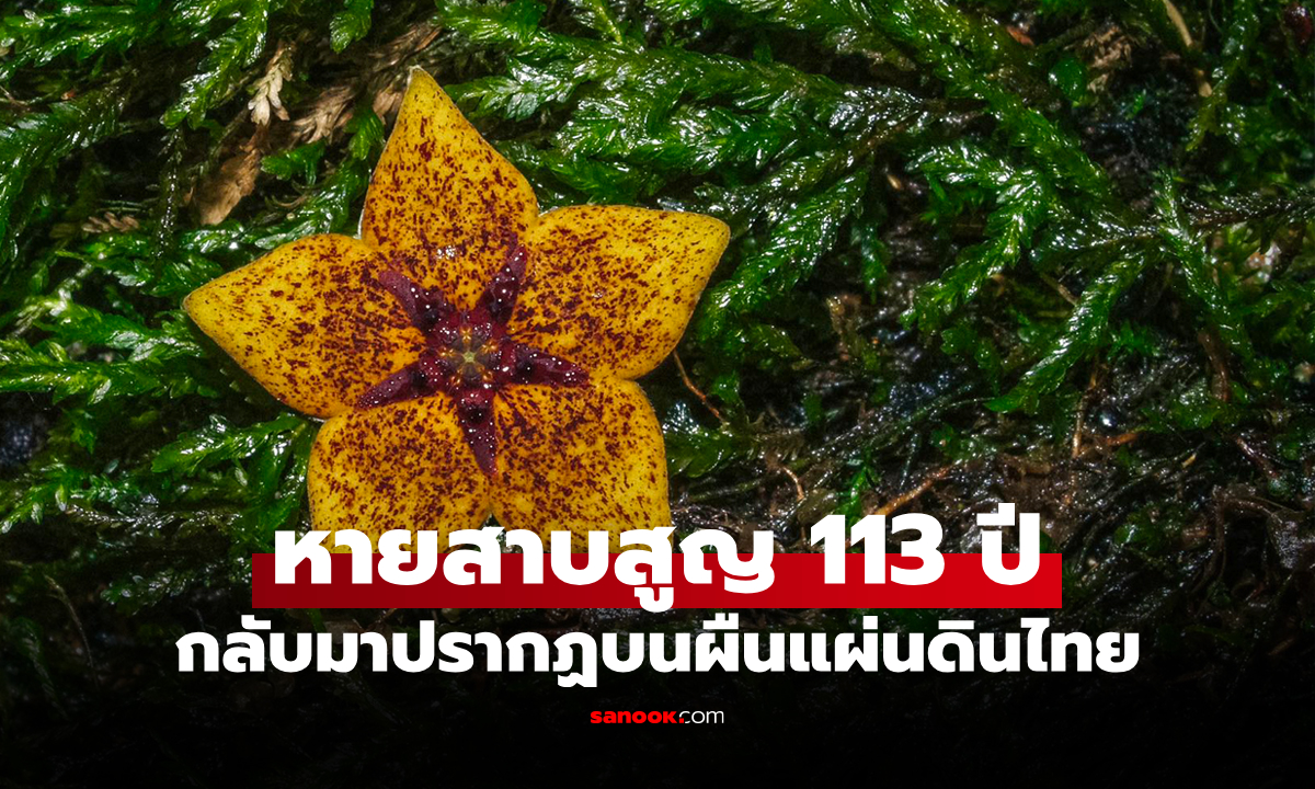 สุดฮือฮา! \