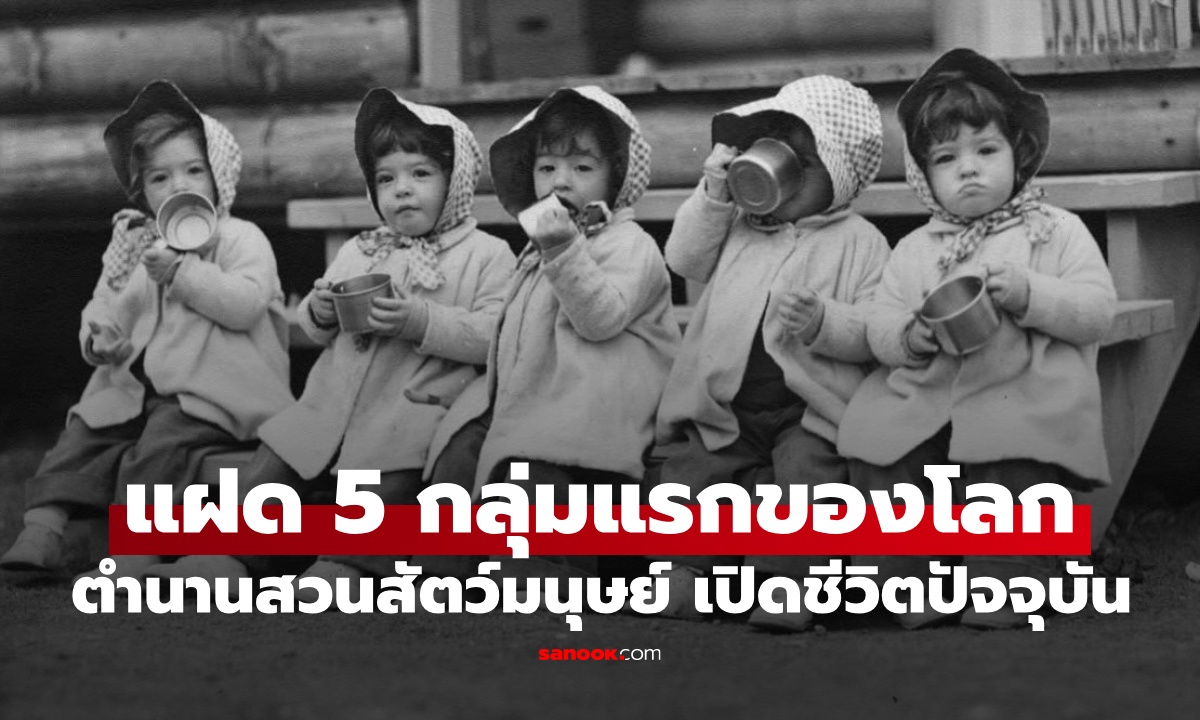 เปิดชีวิตปัจจุบัน "แฝดห้า" ตำนานกลุ่มแรกของโลก จากปาฏิหาริย์สู่สวนสัตว์มนุษย์