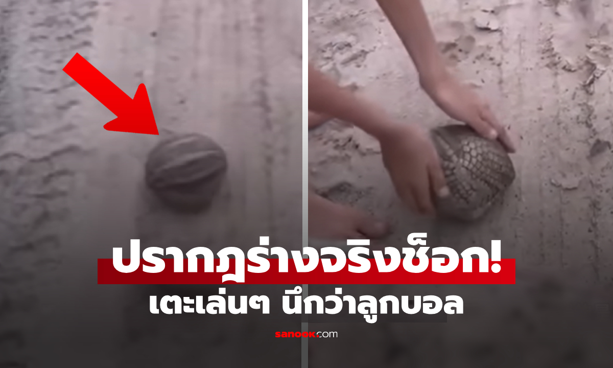 (คลิป) นักผจญภัยพบ \