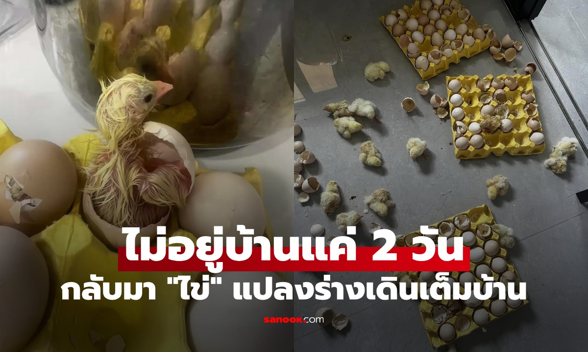 สาวไม่อยู่บ้าน 2 วัน เปิดประตูมาตกใจ \