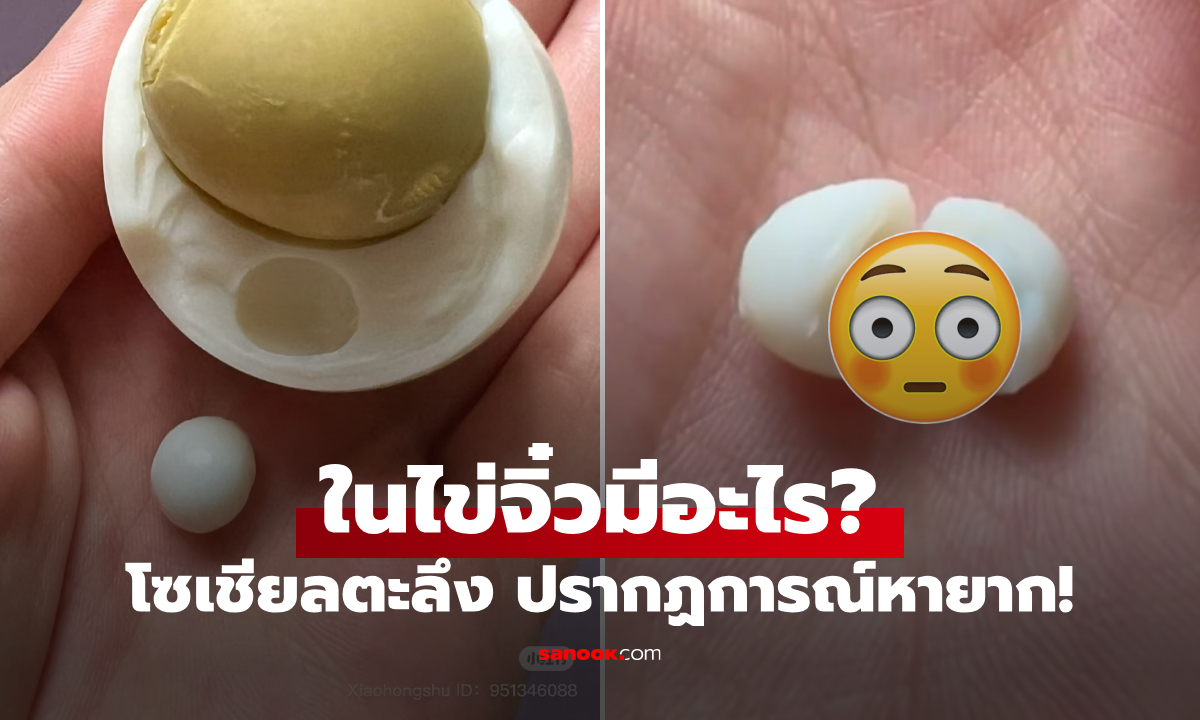 แค่ปอกไข่ต้ม ดันเจอเซอร์ไพรส์ ของหายากระดับตำนาน ชาวเน็ตขอตั้งชื่อ \