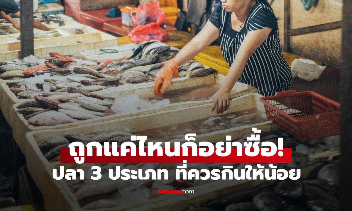 อย่าเห็นแก่ของถูก! ปลา 3 ประเภท ที่ควรกินให้น้อย เพราะอาจเพิ่มความเสี่ยงมะเร็ง