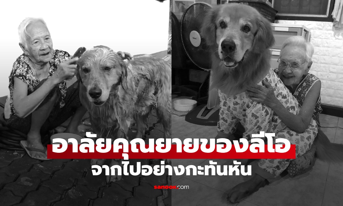 อาลัย \