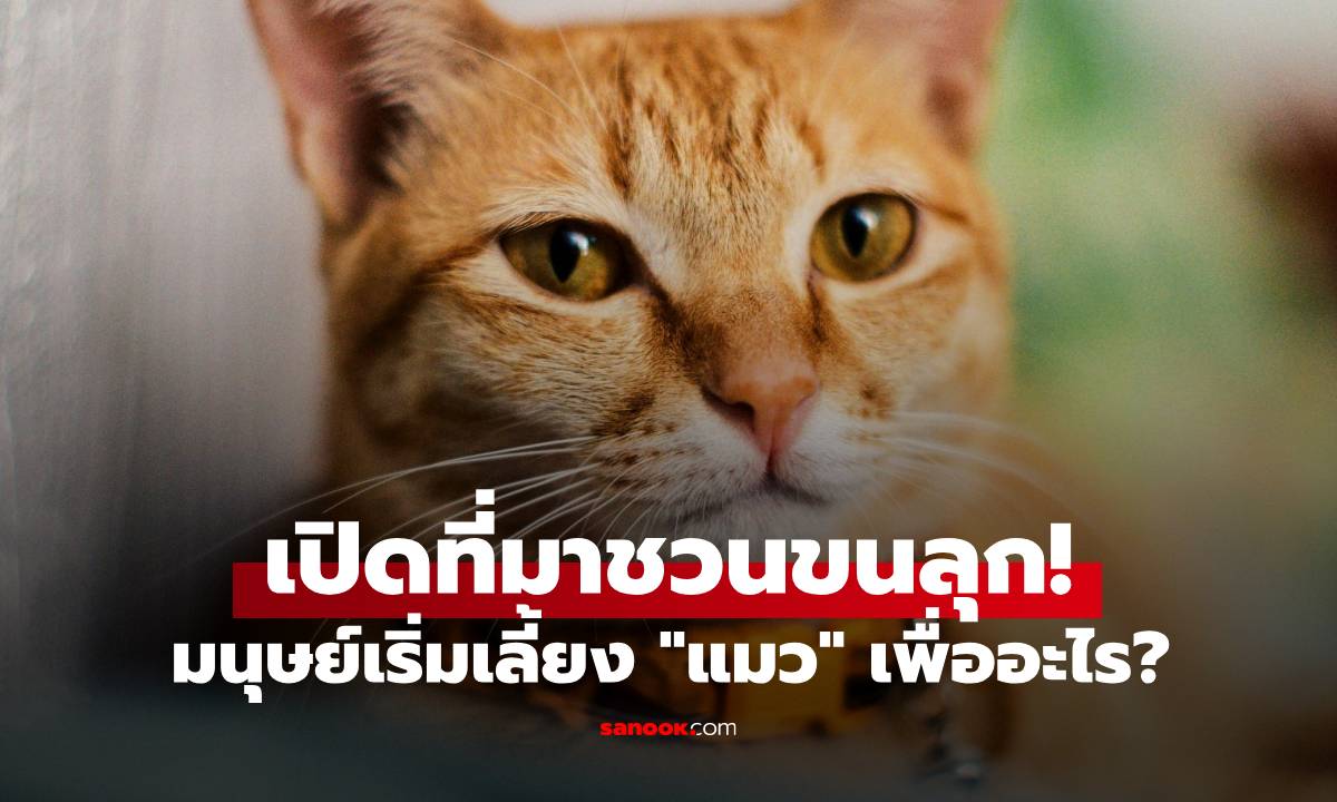 นักวิทย์เปิดที่มาชวนขนลุก! มนุษย์เริ่มเลี้ยง \