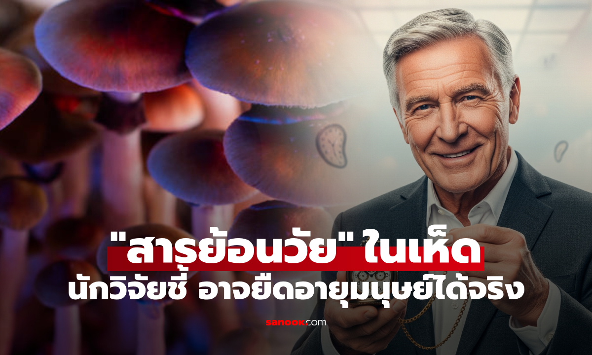 วิจัยพบ “ยาอายุวัฒนะ” ซ่อนอยู่ในเห็ดวิเศษ ให้ผลยืดอายุเซลล์มนุษย์ 50% ชะลอแก่ได้!?