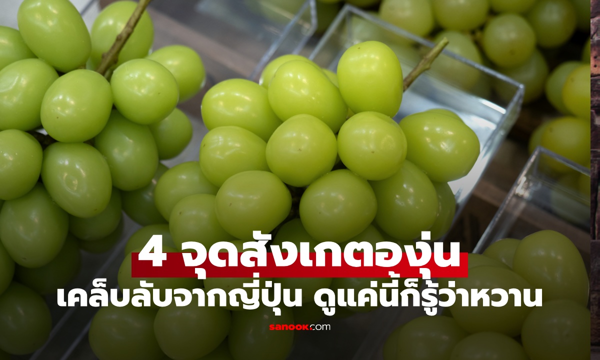 4 จุดสังเกต \
