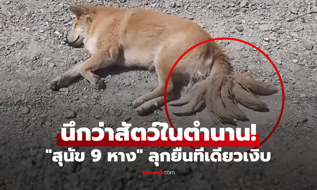 สัตว์ในตำนาน? อึ้งเจอ \