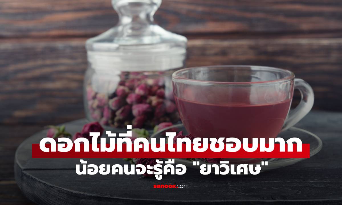 ดอกไม้ที่คนไทยชอบมาก! น้อยคนจะรู้ \