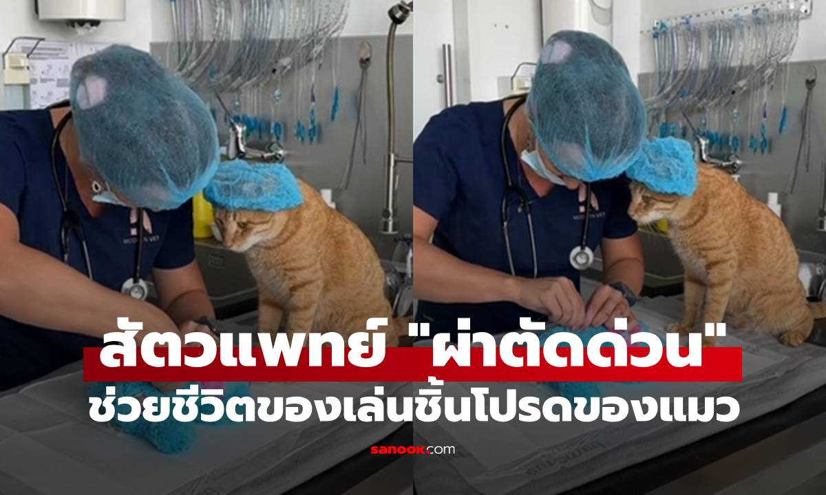สัตวแพทย์รีบทำการ \