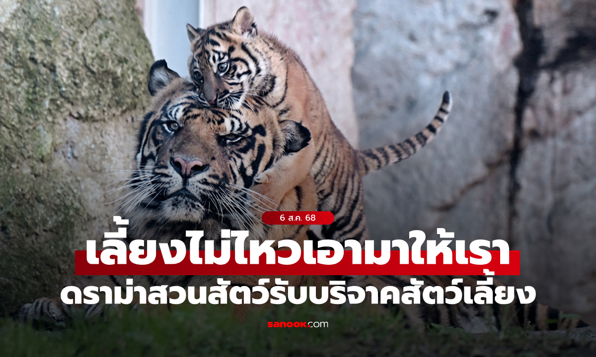 ดราม่าทันที! \