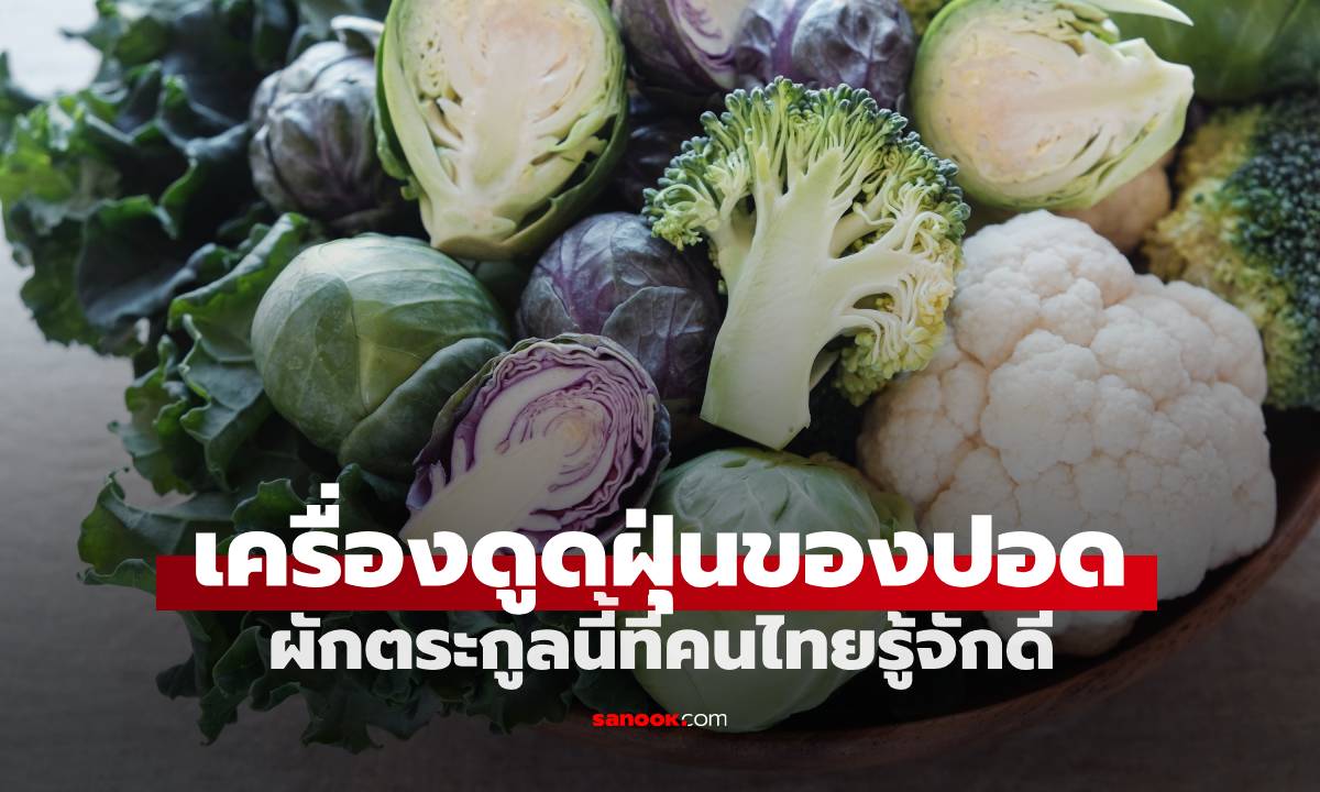 ผักตระกูลนี้ถูกยกย่องเป็น \