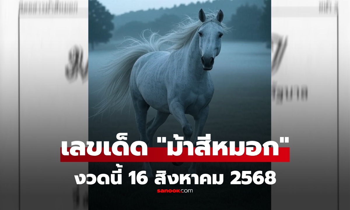 เลขเด็ด ม้าสีหมอก งวดนี้ 16 สิงหาคม 2568 แนวทางหวยงวดนี้ 16/8/68