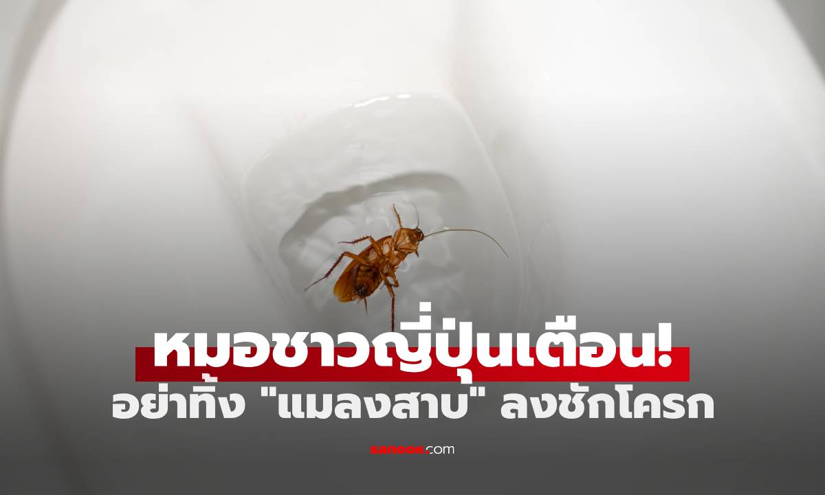 หมอชาวญี่ปุ่นเตือน! ห้ามทิ้ง "แมลงสาบ" ลงชักโครก เสี่ยงเจอ 2 ผลลัพธ์สุดสยอง