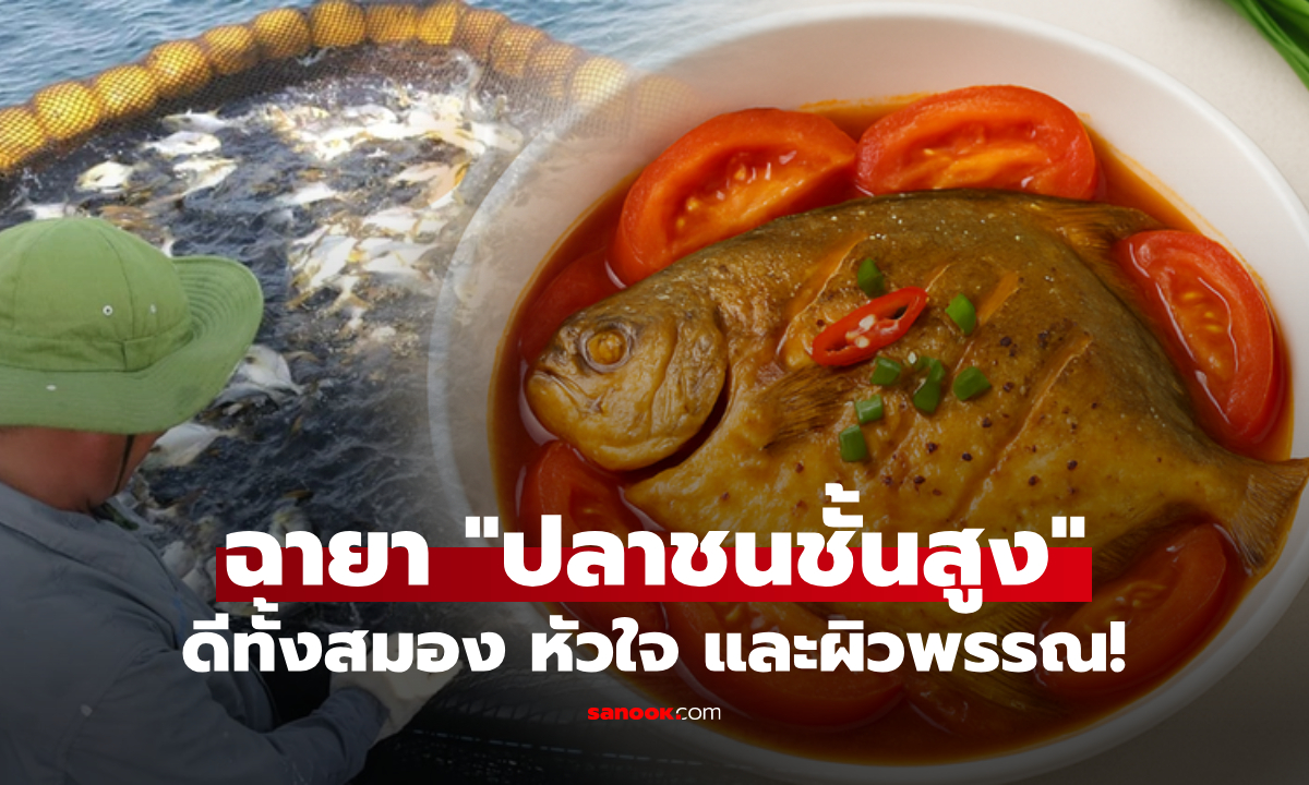 ฉายา "ปลาชั้นสูง" อยู่ในท็อป 4 สุดยอดจากทะเล  ก้างน้อย เนื้อหวาน ทำอาหารง่าย!