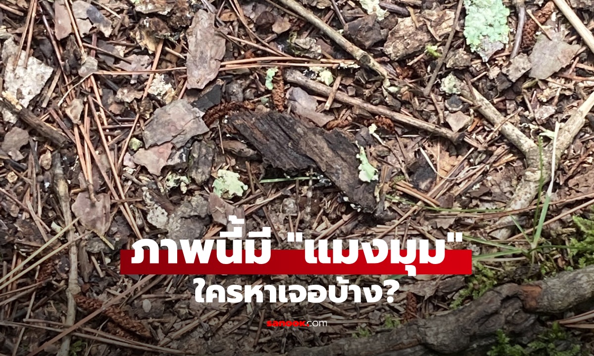 หาเจอมั้ย? \