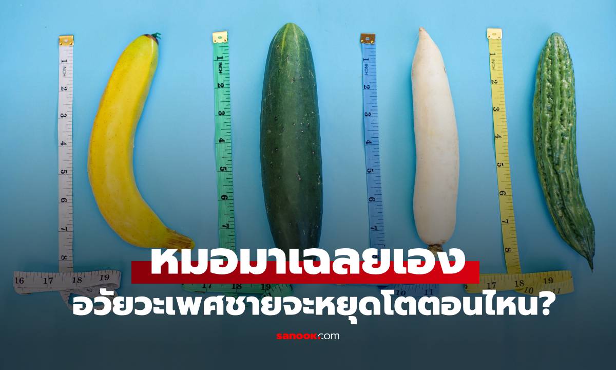 แพทย์เฉลย! อายุเท่าไหร่? ที่ความยาว-ขนาดรอบ ของ \