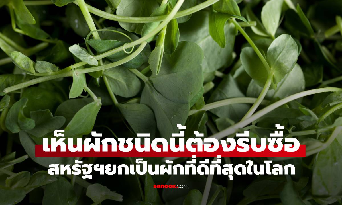 ไปตลาดเห็นผักชนิดนี้ต้องรีบซื้อทันที \