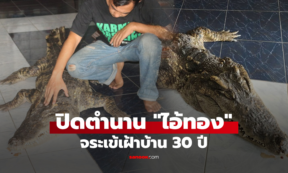 ปิดตำนาน "ไอ้ทอง" จระเข้เฝ้าบ้าน 30 ปี เจ้าของจ่อสต๊าฟร่างเก็บไว้ ร่ำไห้เผยสัญญาณก่อนตาย