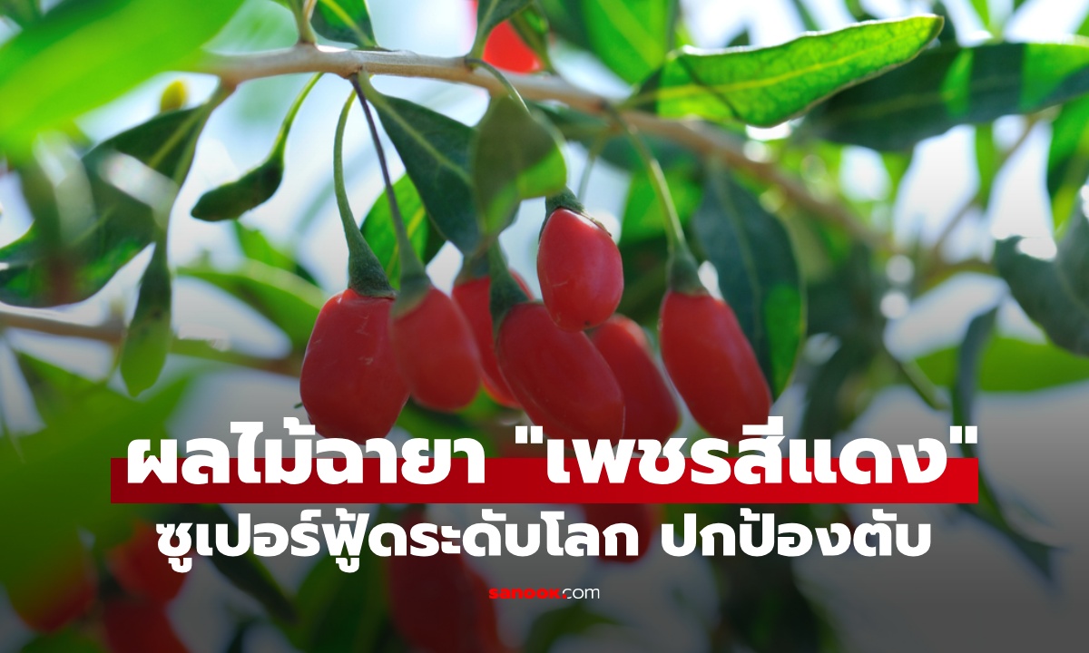 ผลไม้ 1 ชนิด ถูกยกย่องเป็น \