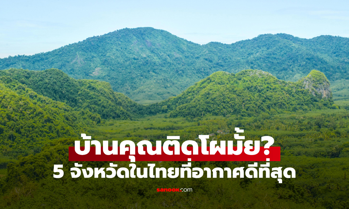 มีเซอร์ไพรส์! \