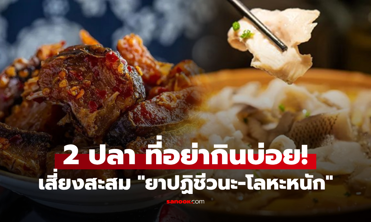 เตือน! ปลา 2 ชนิด ที่ไม่ควรกินบ่อย เสี่ยงสะสม "ยาปฏิชีวนะ" และ "โลหะหนัก" ในร่างกาย