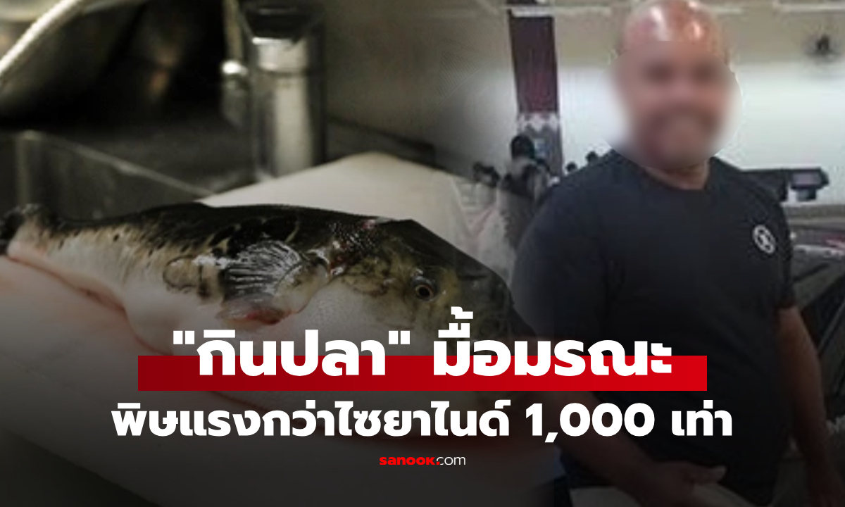 สิ้นชื่อหลัง \