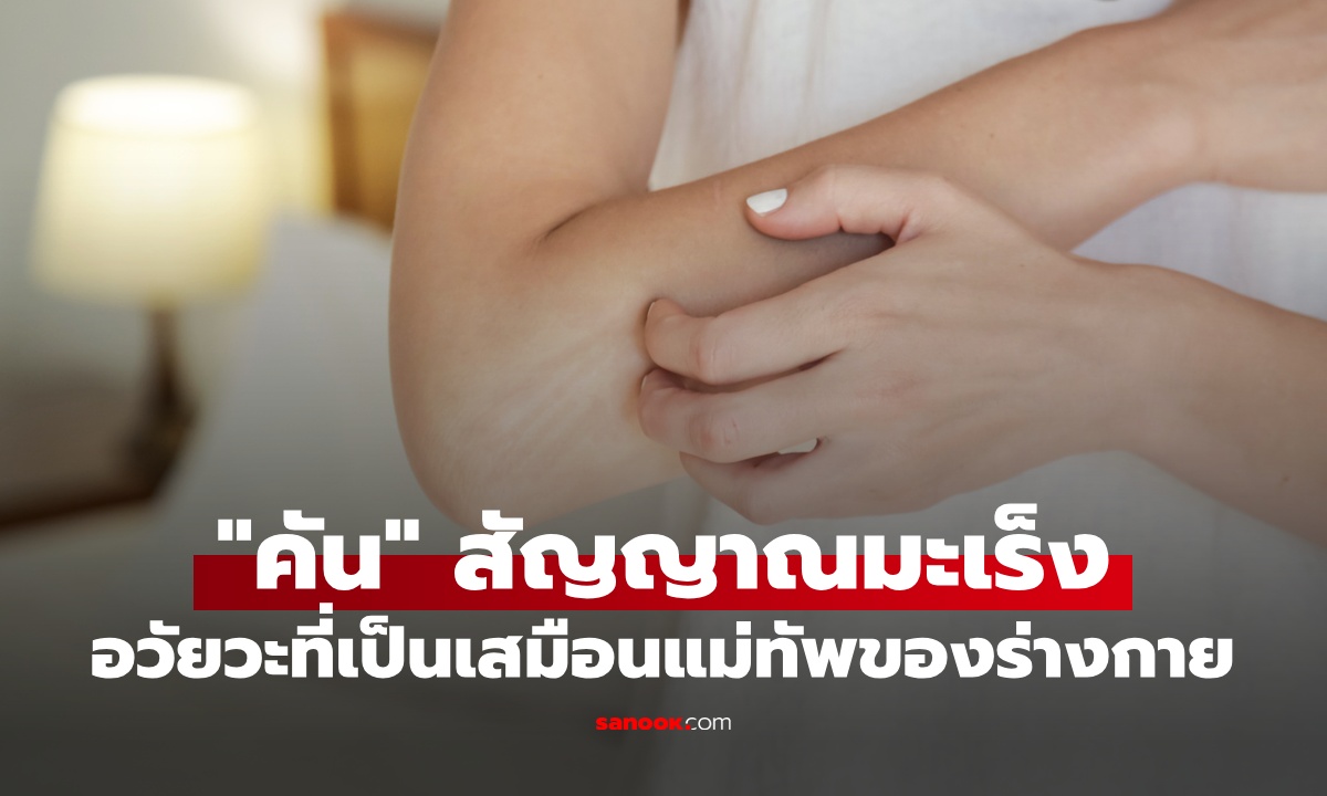 อวัยวะที่เป็น \