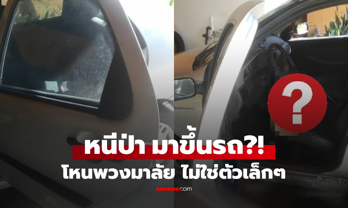 ตาตกใจ!!! เปิดประตูรถเจอ \