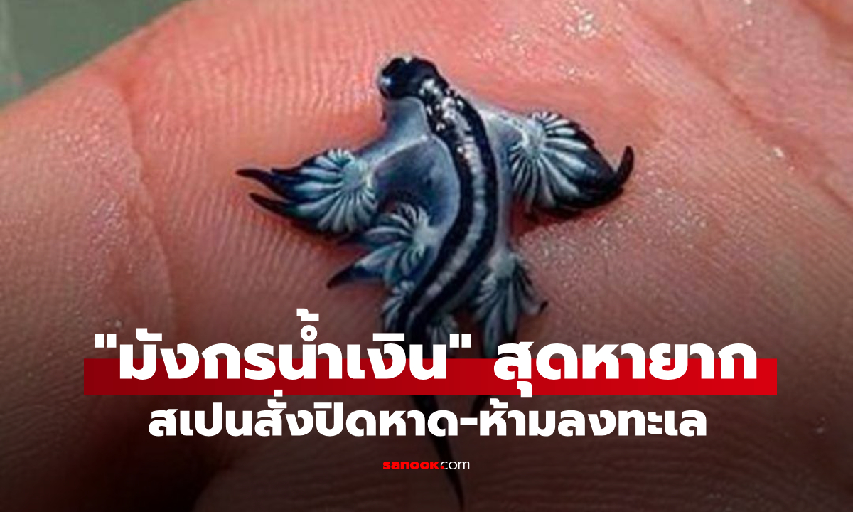 สเปนผงะ! พบ \