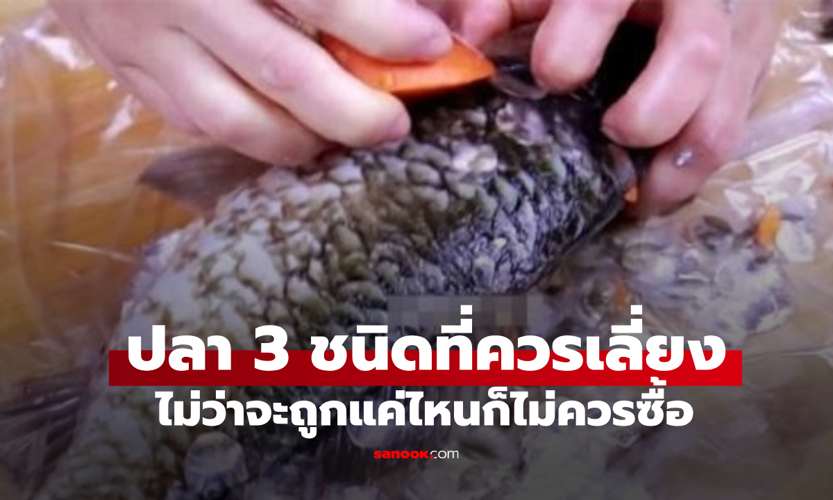 ไปตลาดเจอปลา 3 ชนิดนี้ ให้เลี่ยงทันที ไม่ว่าจะถูกแค่ไหนก็ไม่ควรซื้อ โดยเฉพาะข้อ 3