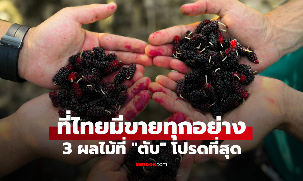 ผลไม้ 3 ชนิด ขึ้นแท่น \