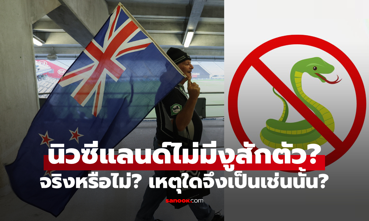 ไขข้อสงสัย: ทำไม \