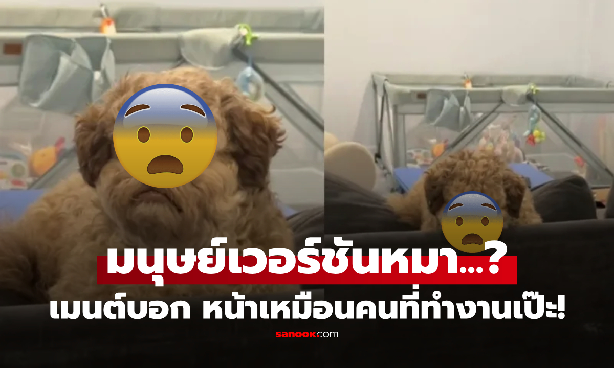 ฮือฮา \