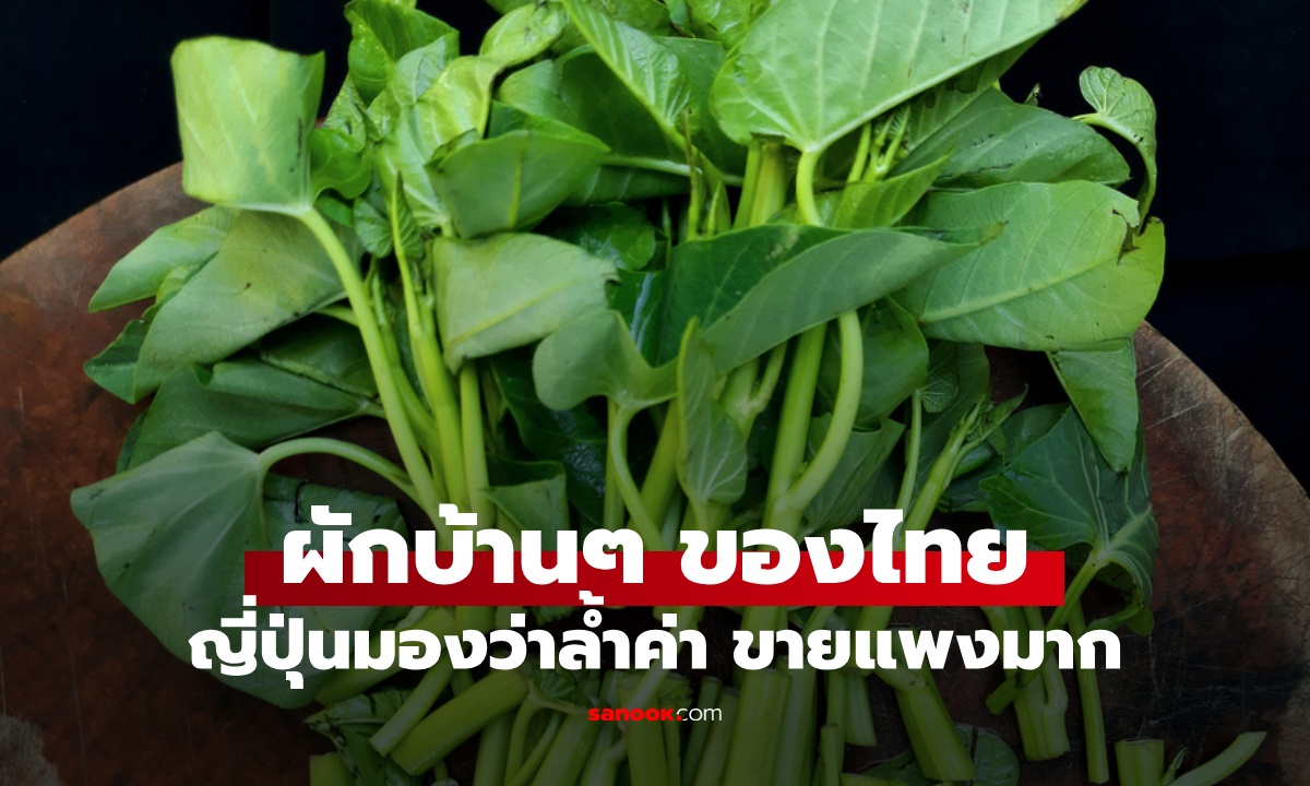 ผักบ้านๆ ของไทย ญี่ปุ่นยกเป็น \