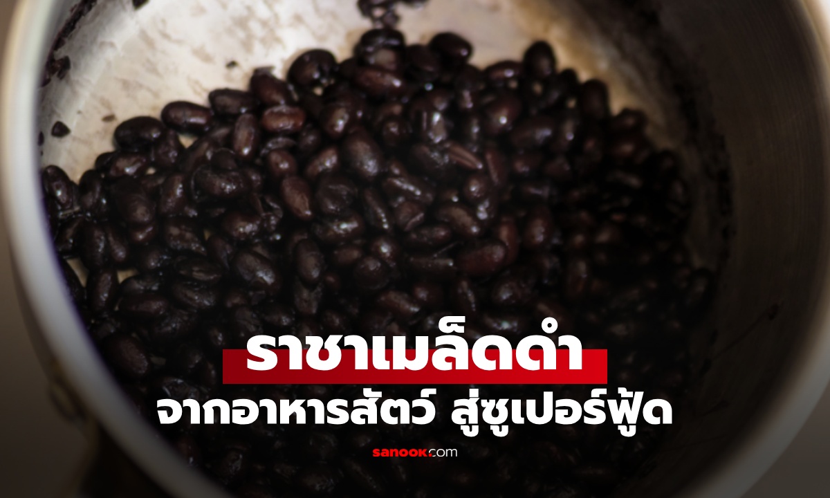 จากอาหารสัตว์ สู่ซูเปอร์ฟู้ด \