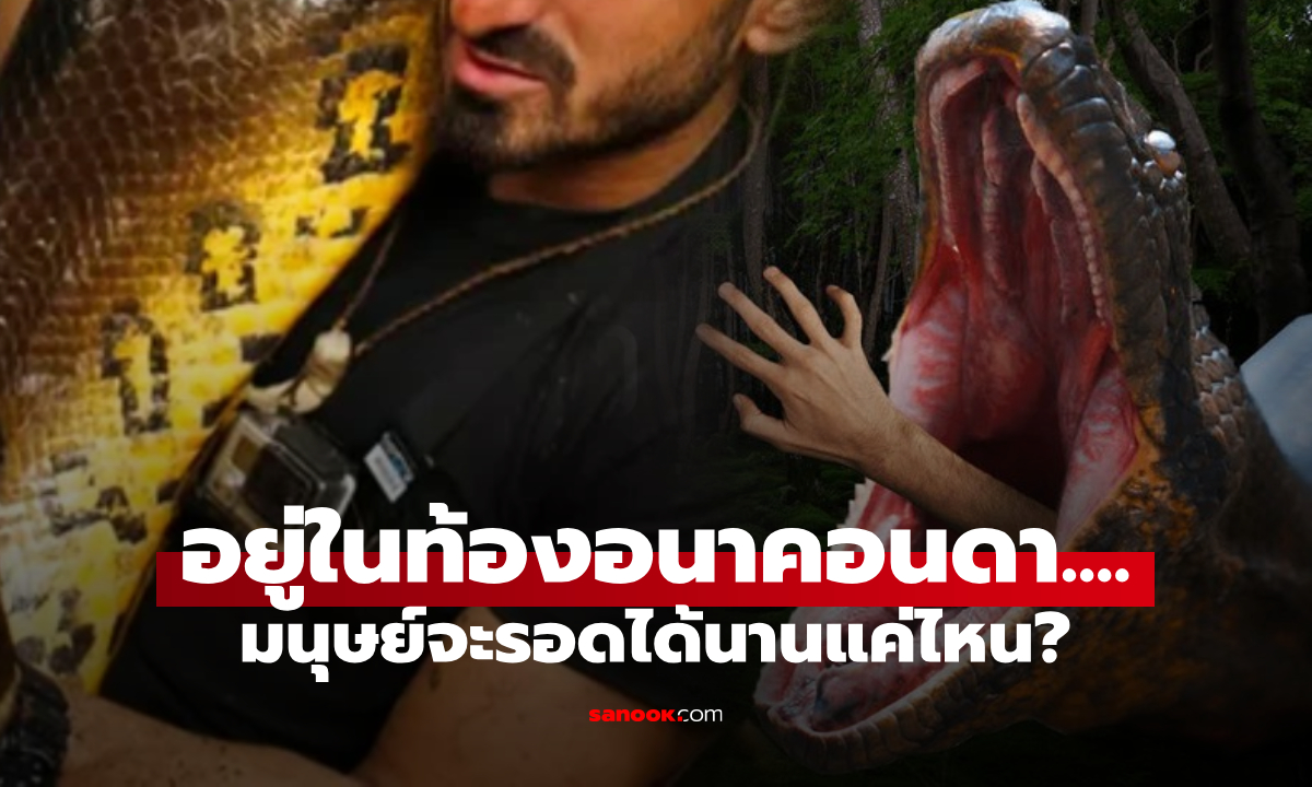 เวลาสั้นมาก! ภายในท้องอนาคอนด้า มนุษย์มีชีวิตอยู่ได้ \