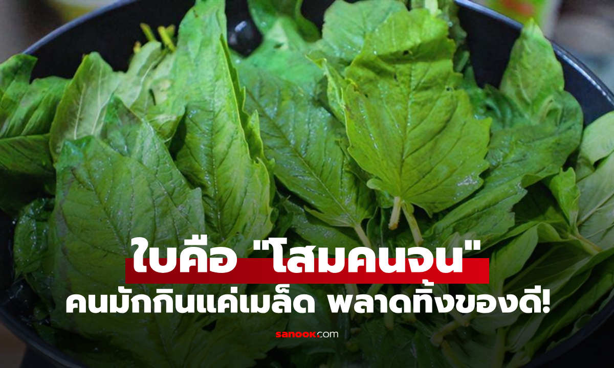 รู้หรือไม่? ใบที่ถูกเรียกว่า \