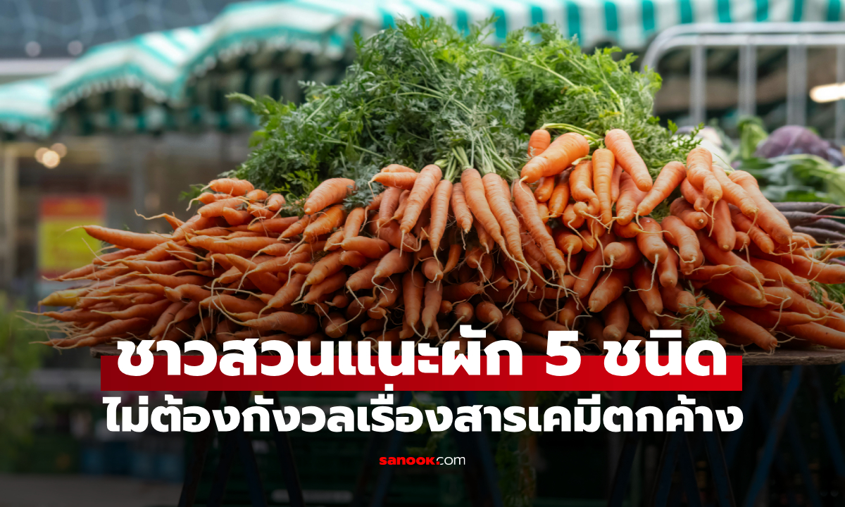 ชาวสวนพูดตรงๆ ผัก 5 ชนิด \