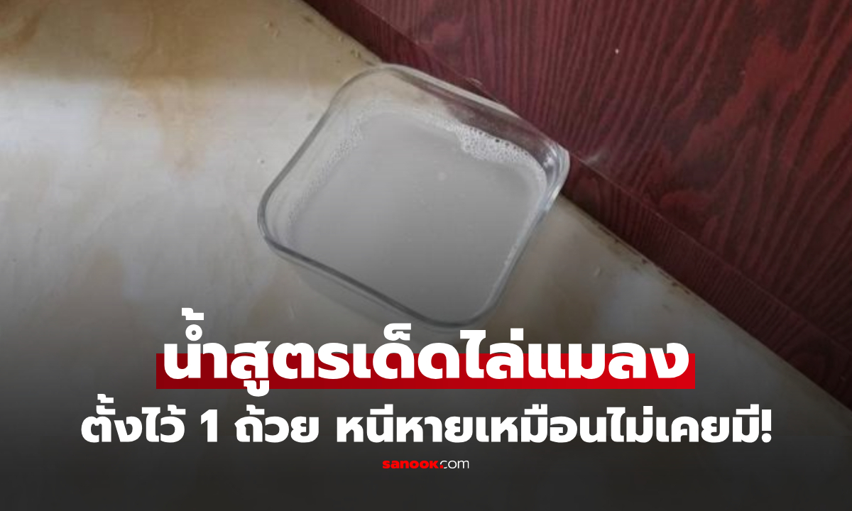 ต่างชาติแชร์ \
