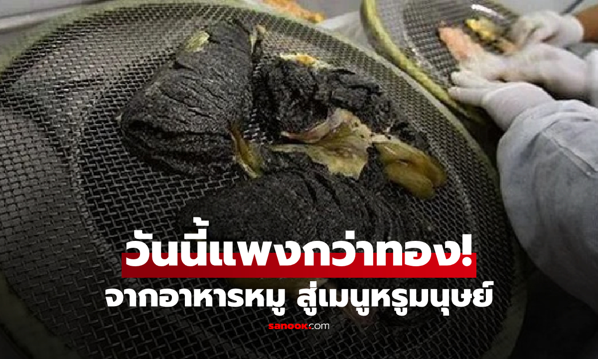 คืออะไร?! จากอาหารหมู สู่เมนูหรูในจานมนุษย์ \