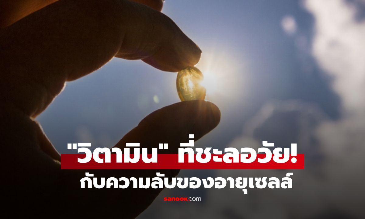 วิจัยใหม่อเมริกา ยืนยัน \
