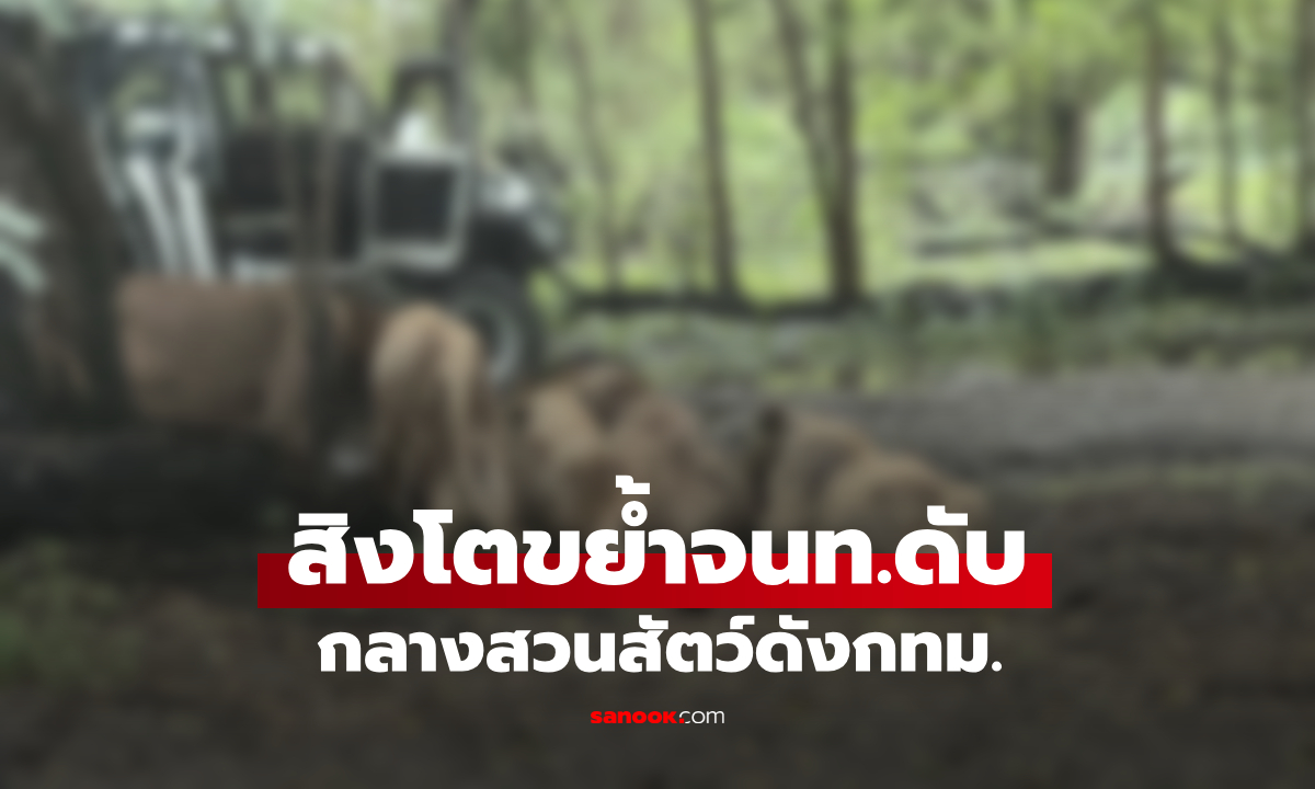 สลด! กลางสวนสัตว์ดัง กทม. \