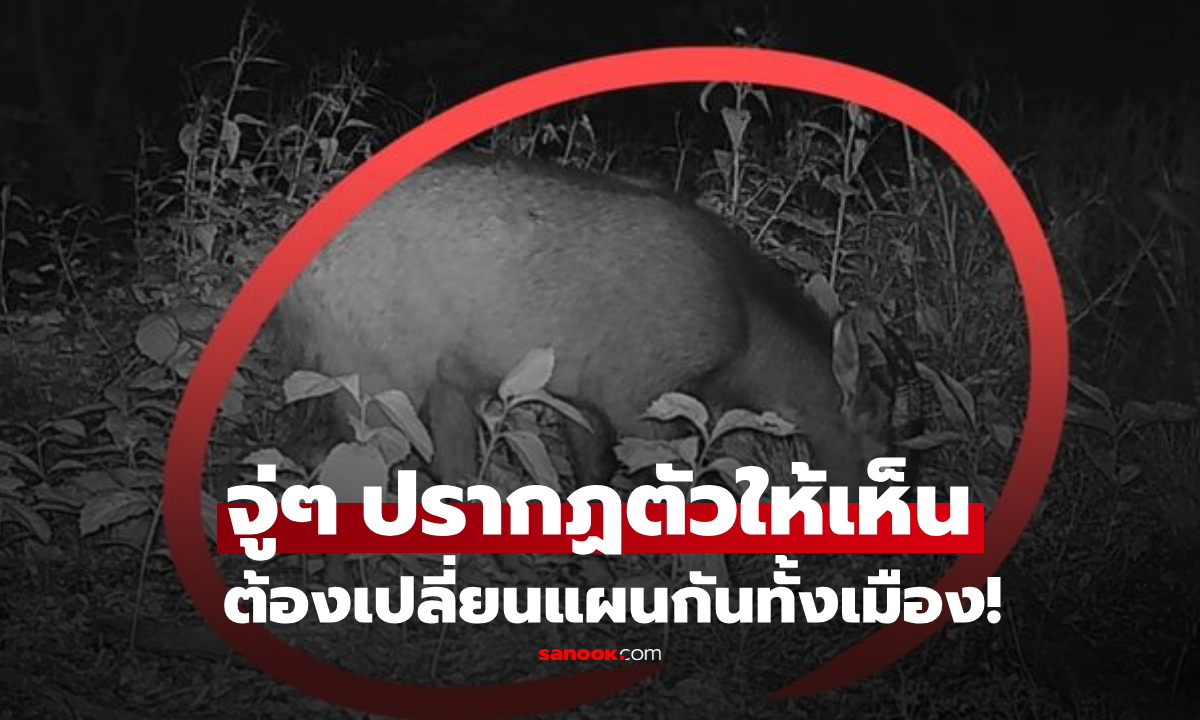 ฮือฮา! เปลี่ยนแผนกันทั้งเมือง จู่ๆ \