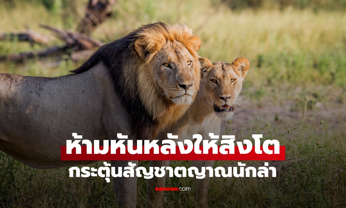 ห้ามหันหลังให้ \