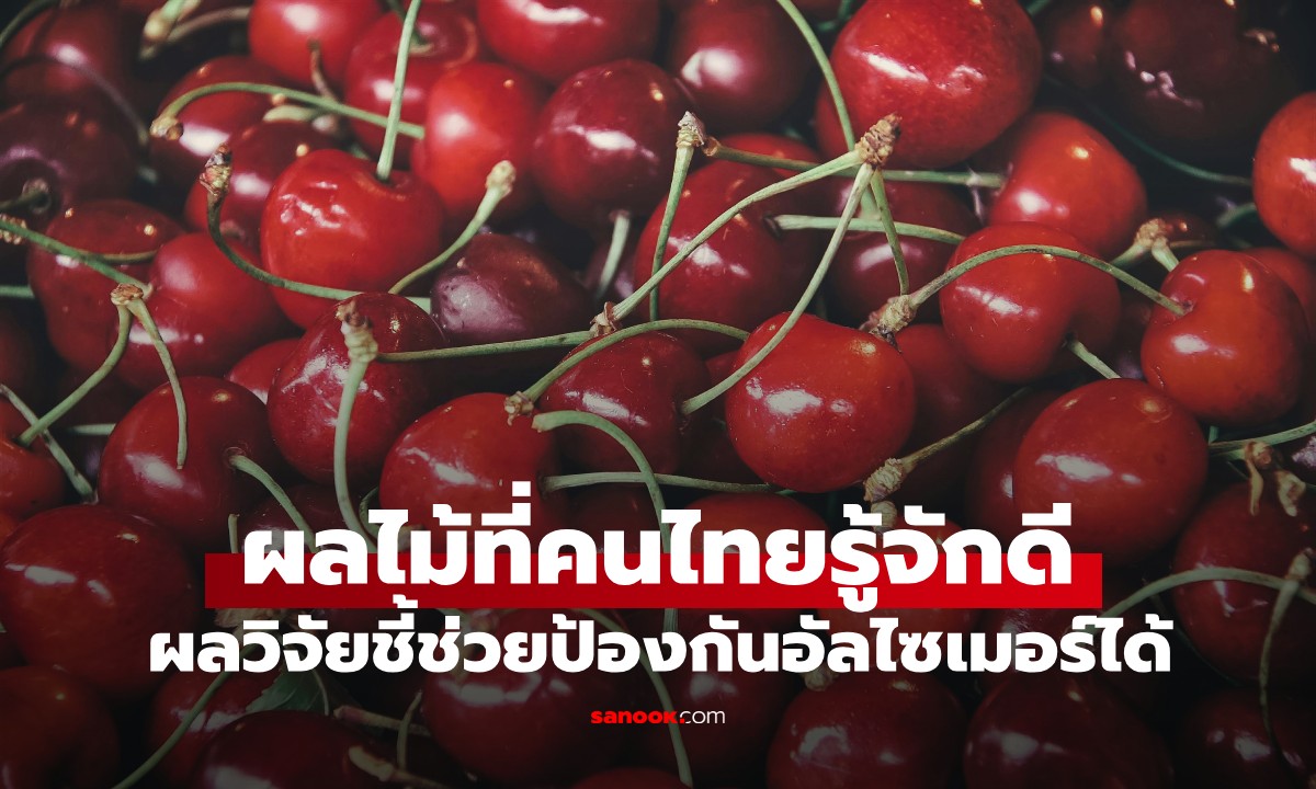วิจัยเมืองนอกพบ \
