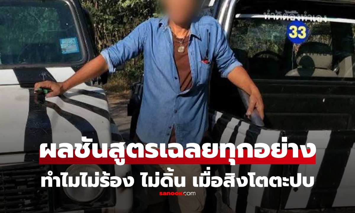 ผลชันสูตร \