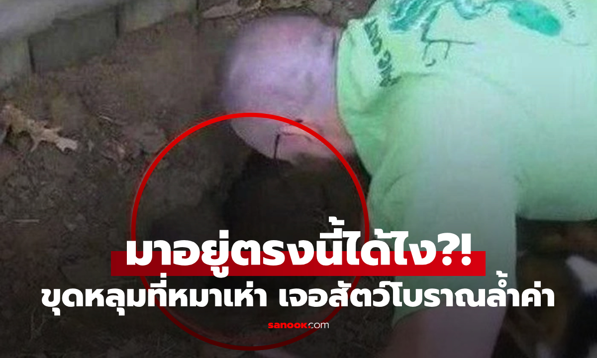 เอะใจ หมาเห่าหลุมหลังบ้าน ขุดพิสูจน์แทบไม่เชื่อตา เจอ \